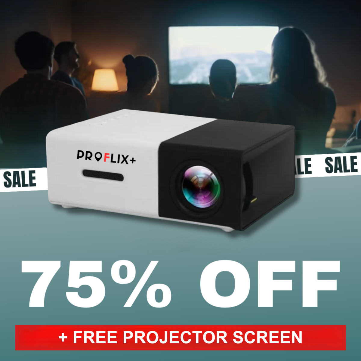 Proflix™ Pocket Projector